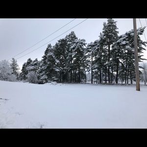 Meet your Posher, Holly